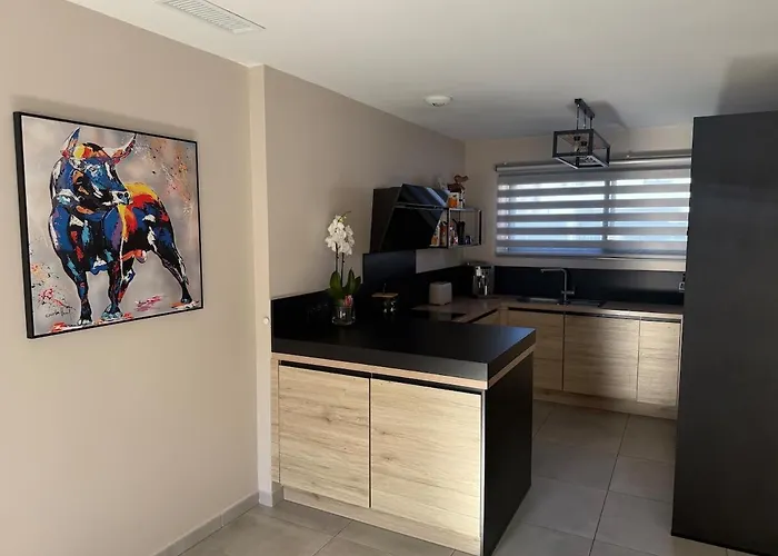 Moderne Avec Piscine